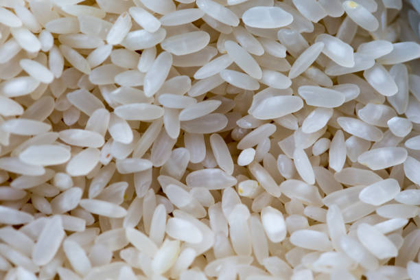 سفارش آنلاین برنج هاشمی شمال شرایط ویژه