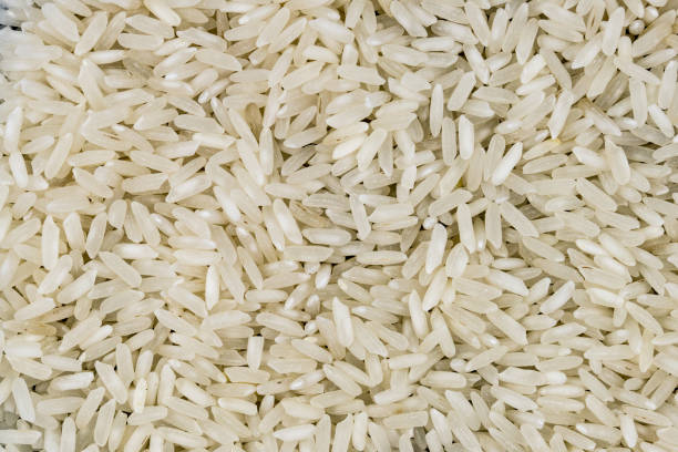 انواع برنج هاشمی استخوانی عالی و ممتاز