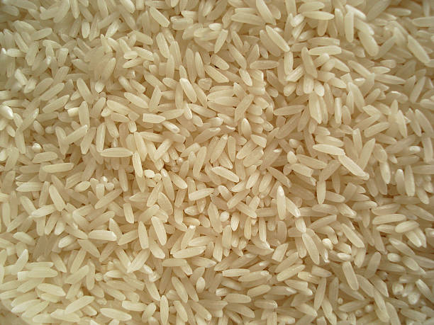 سفارش برنج هاشمی اعلا + شرایط استثنایی